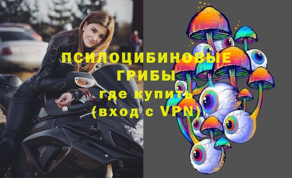дживик Абинск