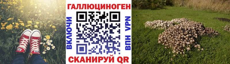 Галлюциногенные грибы Cubensis  Ялта 